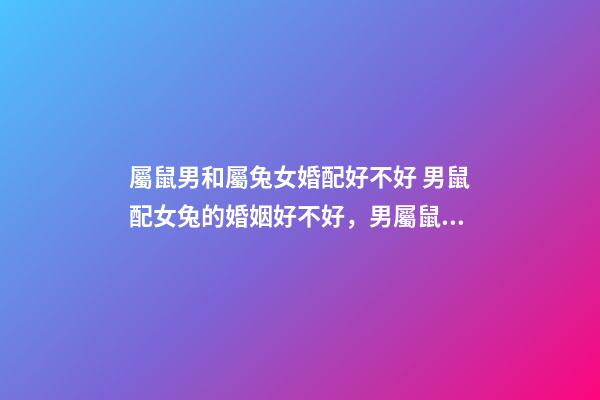 屬鼠男和屬兔女婚配好不好 男鼠配女兔的婚姻好不好，男屬鼠配女屬兔婚姻上旺不旺-第1張-觀點-玄機派